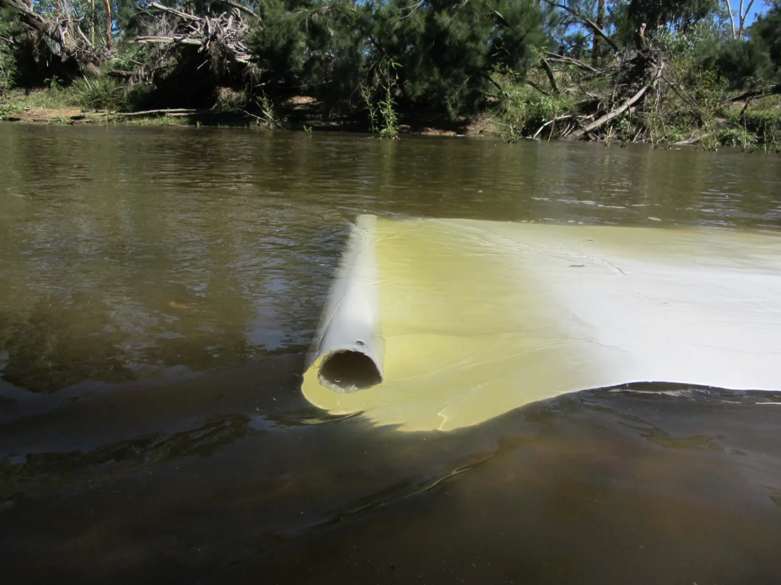Paper unravels itself in the river
